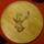 Tenyer1_1417523_4624_t
