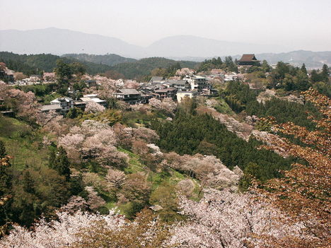 Yoshinoyama