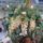 Img_2577_1419957_2296_t