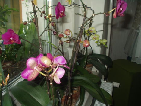 2012 03 19 1