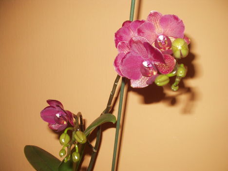 2012 03 19 1