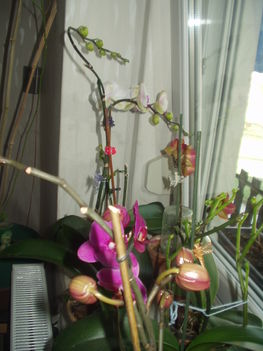 2012 03 19 2