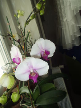 2012 03 19 2
