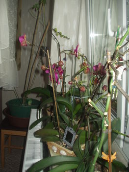 2012 03 19 3