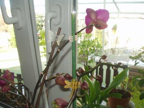 2012 03 19 4