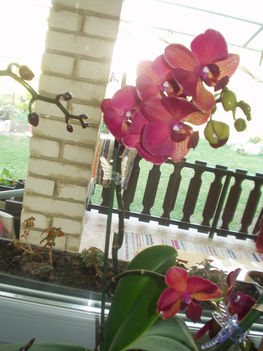 2012 04  01 2
