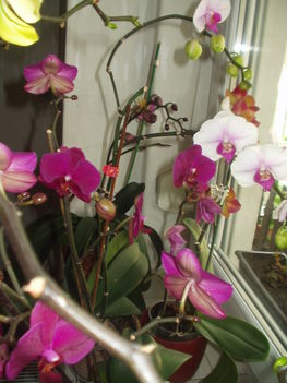 2012 04  01 3