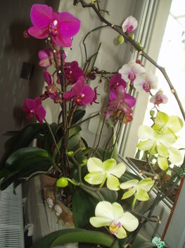2012 04  01 4