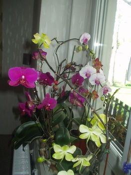 2012 04  01 5