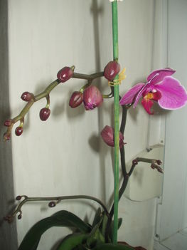 2012 04  01 6