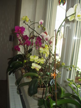 2012 04  01 7