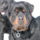 Marcius18-001_1401183_4717_t