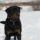 Marcius18_1401182_6695_t