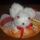 Nyuszi_tojasokkal_1401295_8502_t