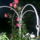 S5020156_1041434_6771_t
