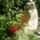 S5020168_1041435_7722_t
