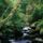The_owengarriff_river_killarney_national_park_ireland-002_1410979_6484_t
