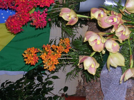 Kép Nemzetközi orchidea kiállítás 2012.04.15. 015
