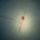 Biser_004_1422376_4962_t
