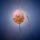 Biser_010_1422396_5422_t