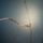 Biser_013_1422393_2258_t
