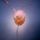 Biser_015_1422389_8195_t