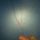 Biser_019_1422383_8661_t