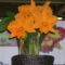 Kép Nemzetközi orchidea kiállítás 2012.04.15.  22 018
