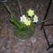 Kép Nemzetközi orchidea kiállítás 2012.04.15.  22 117