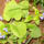 Most_nyilo_viragaim_5_1422368_9048_t