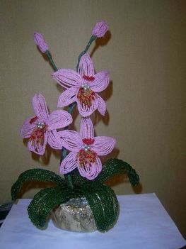 "Tünde féle" orchidea