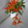 Viragzas___12-007_1422638_5733_t