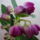 Viragzas___14-004_1422640_4461_t