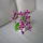 Viragzas___2-008_1422586_2655_t
