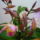 Viragzas___3-008_1422587_7201_t