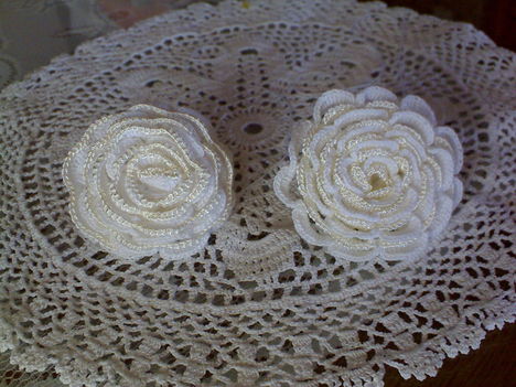 fehér különleges rózsa