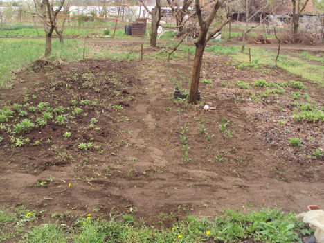 Kertükből 2012