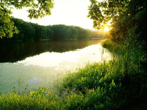 Schlamm_Lake_at_Sunset_Clark_State_Forest_Indiana