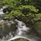 Stream_Great_Smoky_Mountains_National_Park_Tennessee