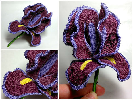 iris virág