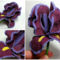 iris virág