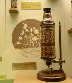 Robert Hooke féle mikroszkóp