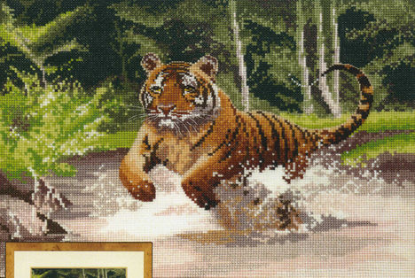 tigris