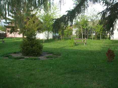 Kedves Karcagiak!Ilyen szuper kert is áll a rendelkezésünkre a jógához.Jó levegő nyugodt környezet:)