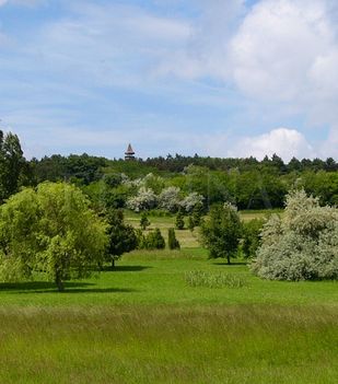 Pákozd-Sukorói Arborétum