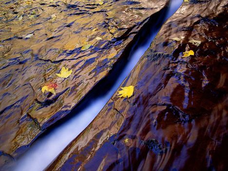 Watercut_Rock_and_Fall_Reflections_Zion_Utah