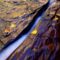 Watercut_Rock_and_Fall_Reflections_Zion_Utah