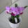 Viragzas___25_1431369_9590_t