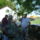 Falunap_35_1433491_4900_t