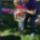 Falunap_40_1433496_9707_t